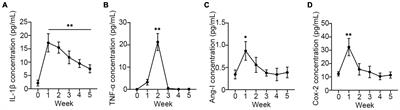 Hyperoxia Induced Bronchopulmonary Dysplasia-Like Inflammation via miR34a-TNIP2-IL-1β Pathway